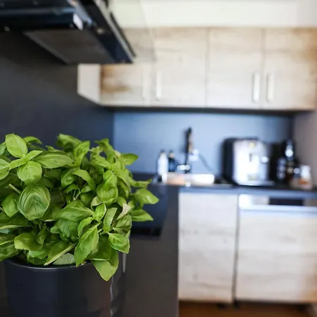 Sternenblick Lodge, Im Harz, Mit Schwimmbad Und Sauna Lejlighed Braunlage