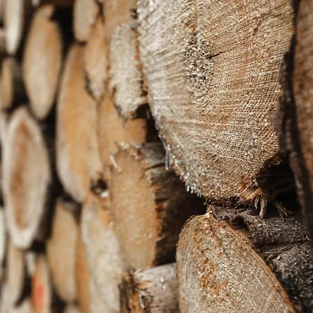 Sternenblick Lodge, Im Harz, Mit Schwimmbad Und Sauna Apartamento *