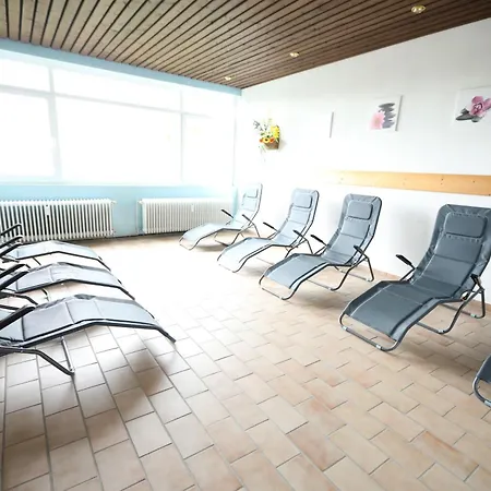 Neu Superior 312, Oberharz, Schwimmbad Und Sauna