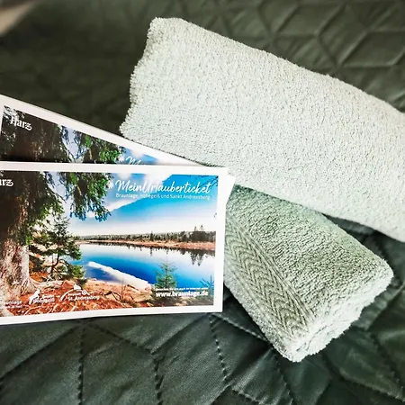 Sternenblick Lodge, Im Harz, Mit Schwimmbad Und Sauna