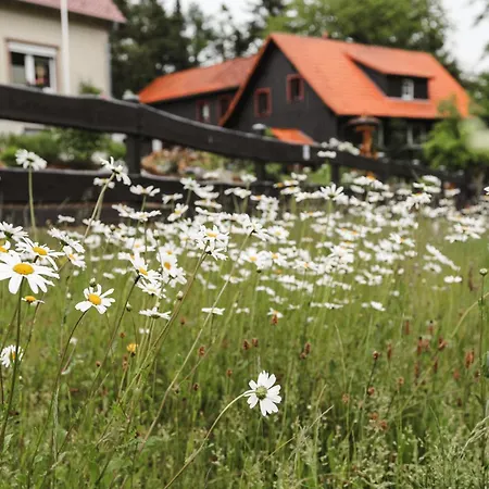 Apartment Neu Superior 312, Oberharz, Schwimmbad Und Sauna *